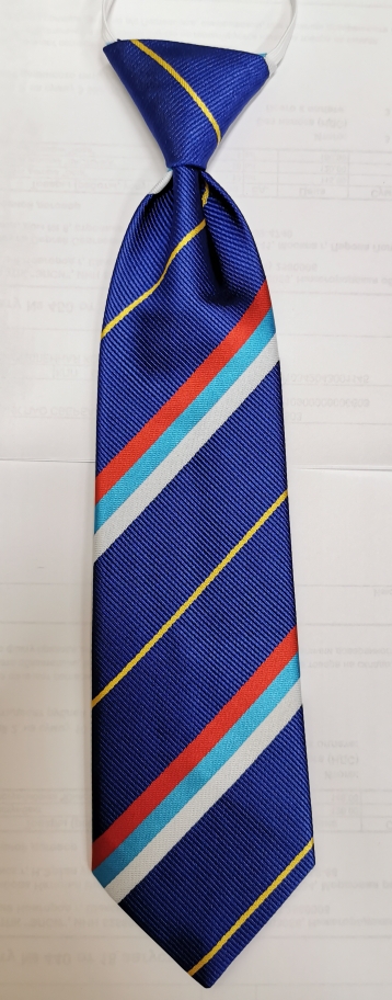 Галстук школьный с триколором