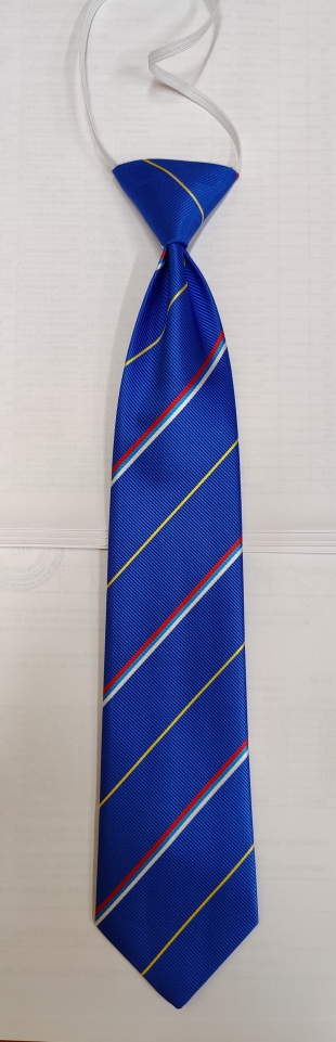 Галстук школьный с триколором